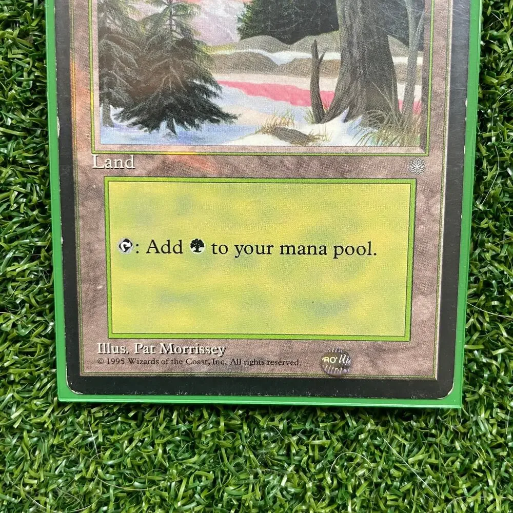 MTG Forest 1995 Pat Morrissey Art Vintage Basic Land Magic Card LP